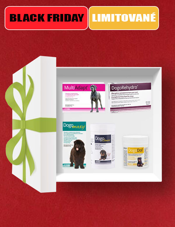 1763567996BF Box maxy senior.jpg